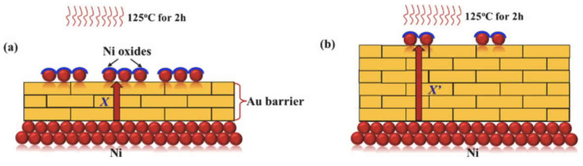 Ni擴散及氧化示意圖