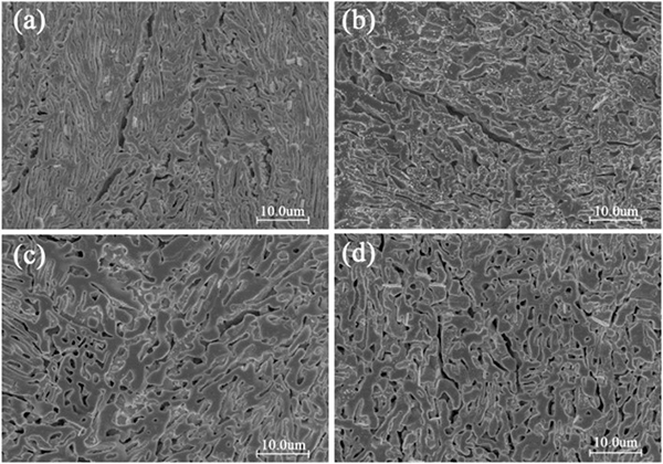 1679290543677967.jpg 1679290543677967.jpg