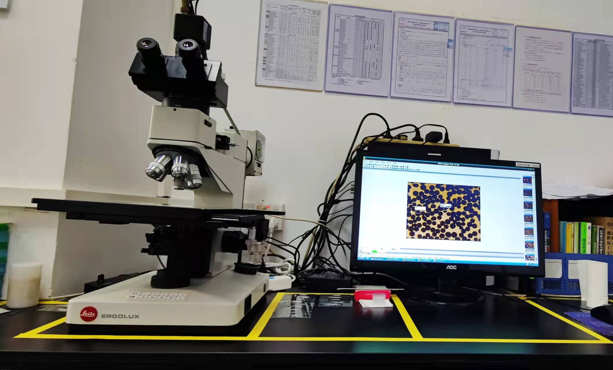 徠茲光學顯微鏡